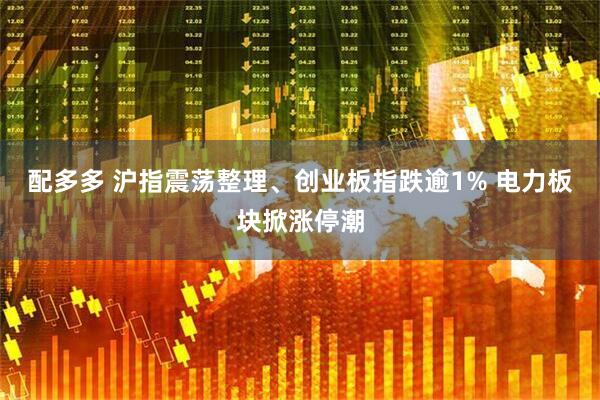 配多多 沪指震荡整理、创业板指跌逾1% 电力板块掀涨停潮