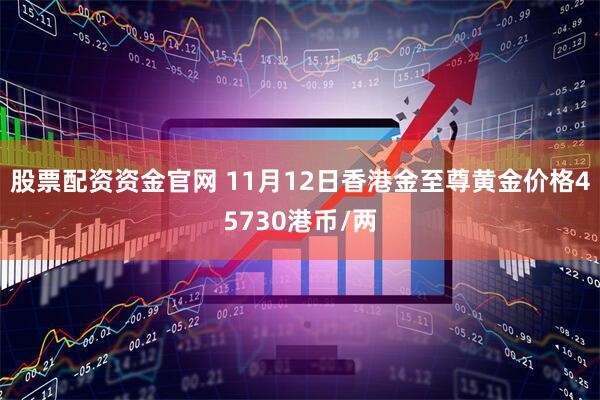 股票配资资金官网 11月12日香港金至尊黄金价格45730港币/两
