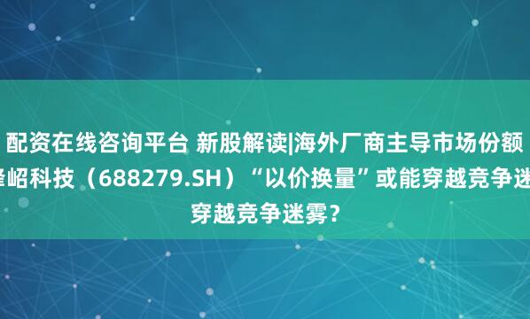 配资在线咨询平台 新股解读|海外厂商主导市场份额，峰岹科技（688279.SH）“以价换量”或能穿越竞争迷雾？